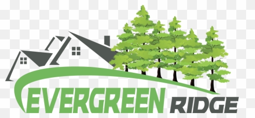 Download About Evergreen Ridge Estates - Christmas Tree PNG