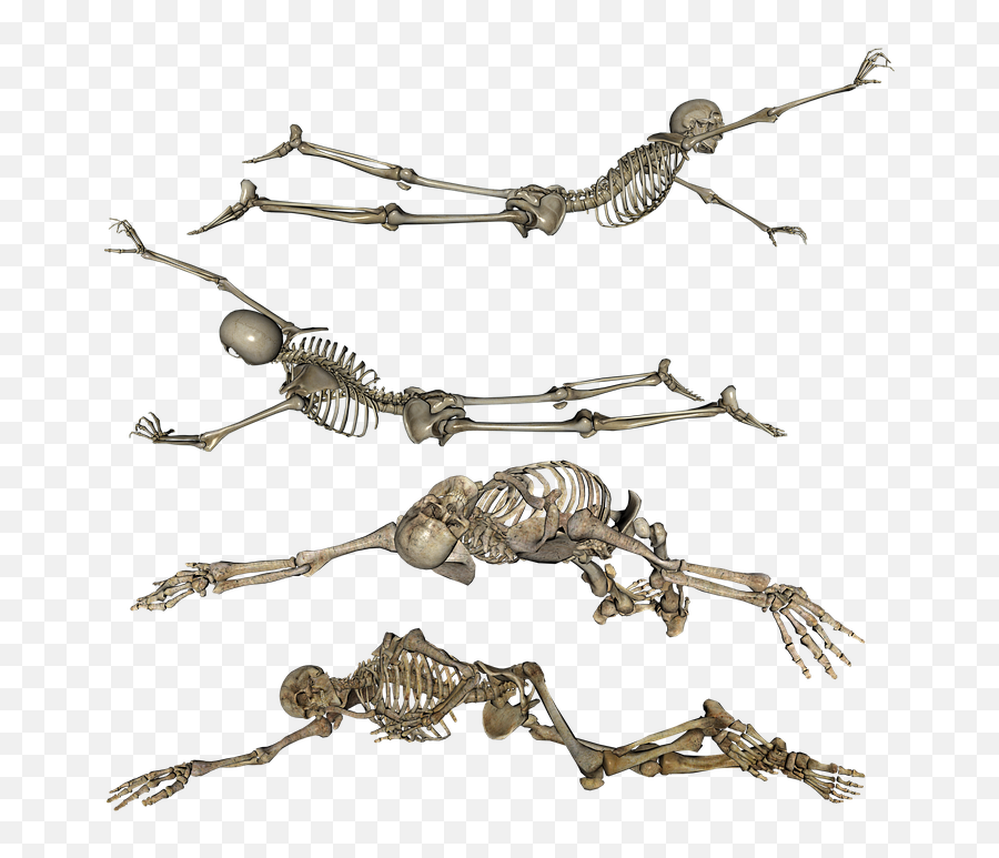 Skeleton Laying Crawling - Free Image On Pixabay Crawling Skeleton Png,Skeleton Png Transparent