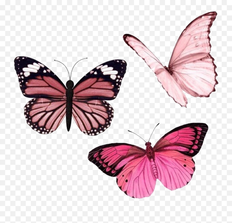 Png Pngs Transparent Sticker By - Purple Aesthetic Stickers,Butterfly Transparent Background