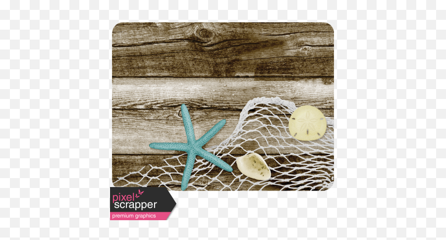 At The Beach - Fishing Net Journal Card Graphic By Sheila Plank Png,Fishing Net Png