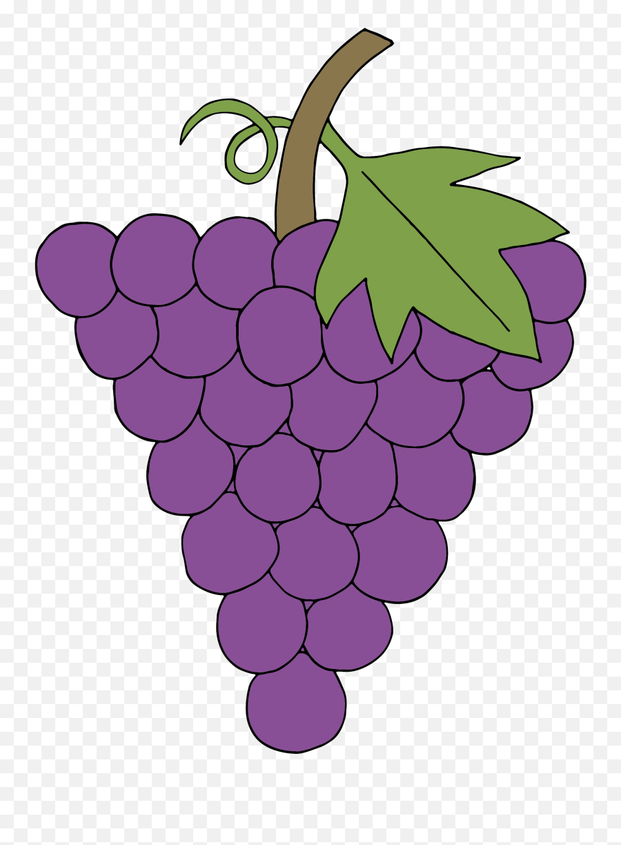 Grapes Clipart Corner - Clipart Grape Png,Grapes Transparent