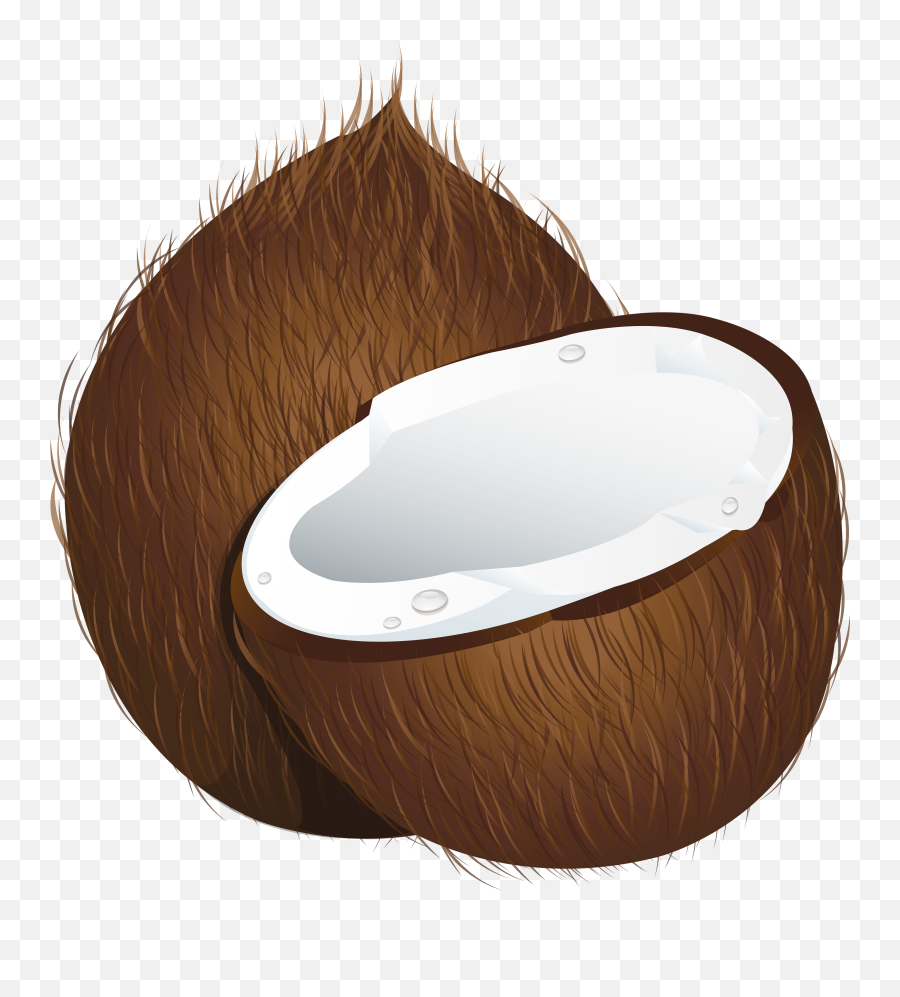 Coconut Clipart Png Transparent - Coconut Clipart Png,Coconut Transparent