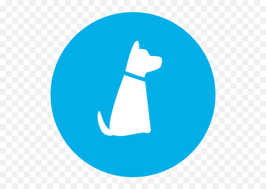 Dog Daycare - Twitter Round Logo Png Transparent Background Logo  Transparent Background Round,Twitter Png Logo - free transparent png images  