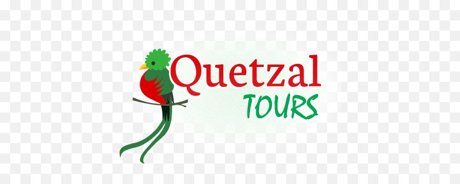 Quetzal Tours Usa - Quetzal Png,Quetzal Png