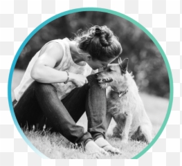 Pet Insurance From First Tech - Olfacion Animales Png,Platinum Cats Vs Dogs Icon