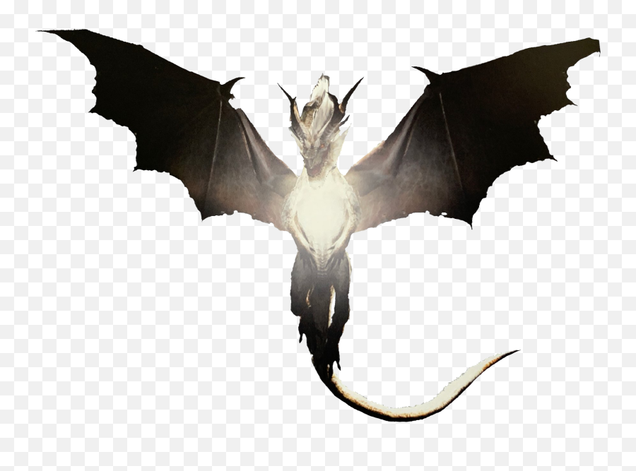 White Fatalis Monster Hunter Wiki Fandom - White Fatalis Png,Cute Lung Icon