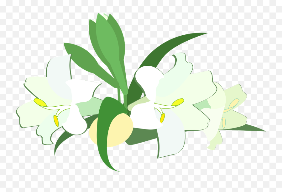 Graphic Easter Lily - Easter Lily Graphic Png,Easter Lily Png