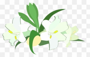Graphic Easter Lily - Easter Lily Graphic Png,Easter Lily Png