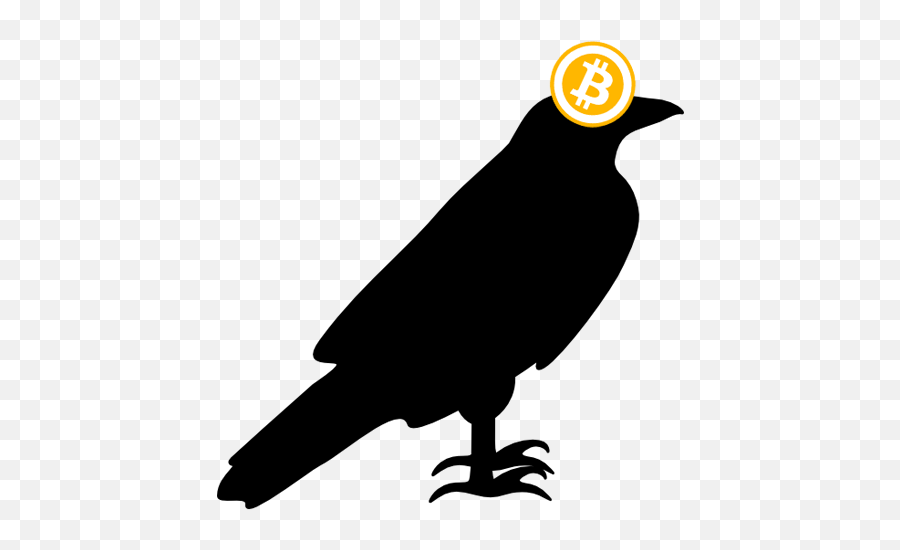 Download About Crypto Ravens - Common Raven Full Size Png Bitcoin,Raven Png