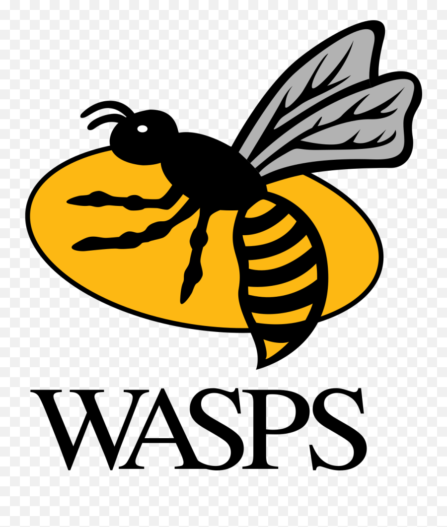 Wasps Rugby Logo Transparent Png - Wasps Rfc,Wasp Png