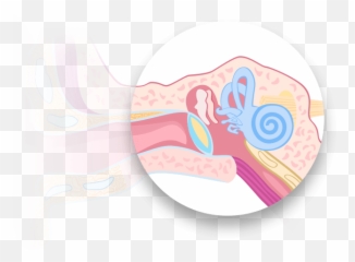 Low Frequency Hearing Loss U0026 Common Causes Of It - Circle Png,Ear Png