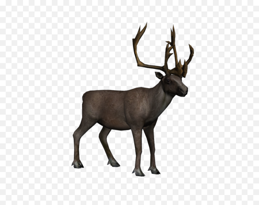 Caribou Transparent - Caribou Transparent Png,Caribou Png