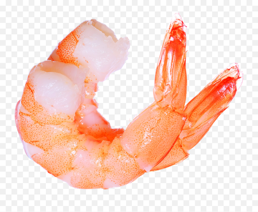 Shrimp Png Hd - Shrimp Png,Shrimp Png