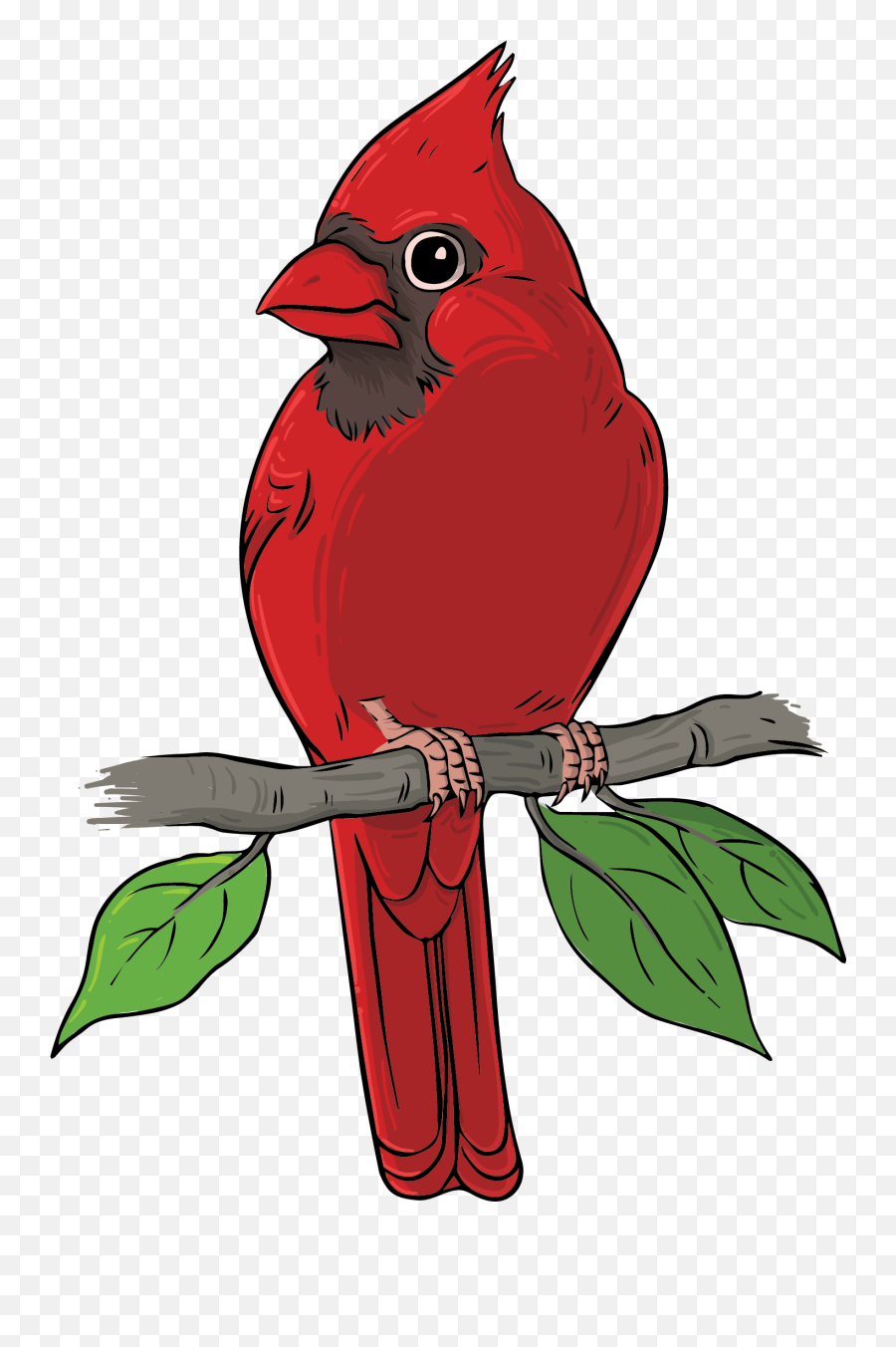Free Png Bird - Konfest,Red Bird Png
