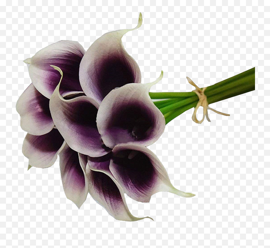 Calla Lilies Flowers Png Image File