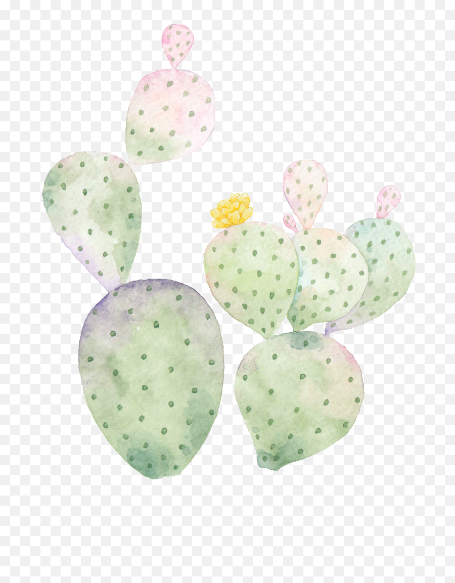 Download Hd Hand Painted Cactus Png Transparent - Cactus And Barbary Fig,Cactus Clipart Png