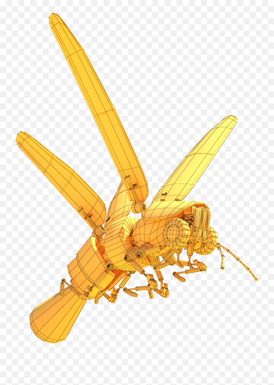 Download Firefly Png Image With No - Dragonfly,Firefly Png