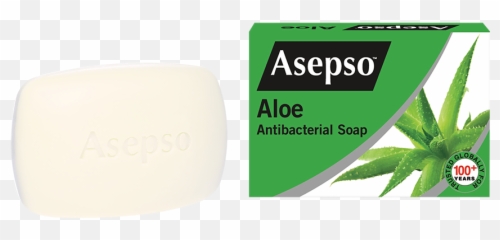 Gentle U0026 Fresh U2014 Asepso - Personal Care Png,Aloe Png