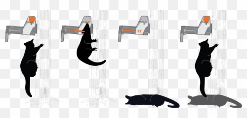 Goodnature A12 Possum Trap Kit - A12 Possum Trap Png,Possum Transparent