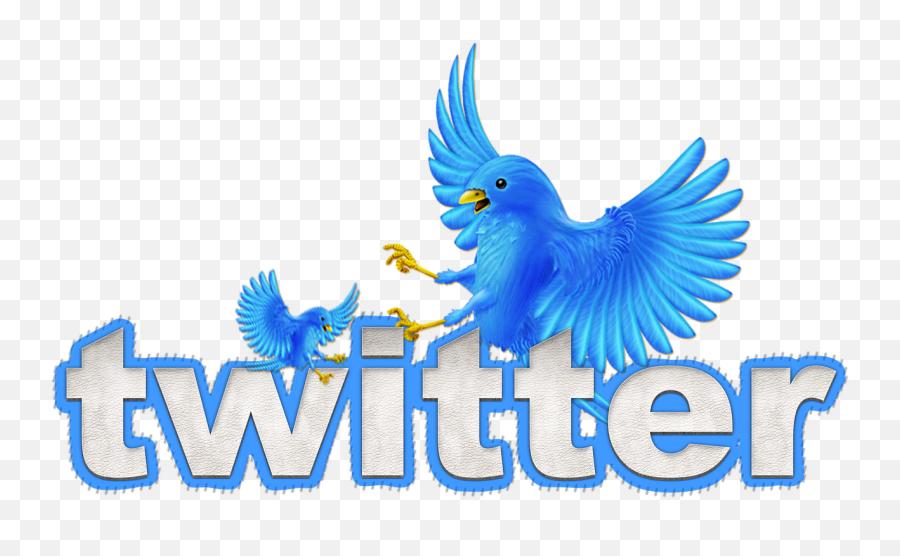 Building Your - Animated Twitter Bird Png,Twitter Bird Transparent