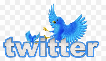 Building Your - Animated Twitter Bird png
