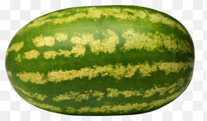 30 Watermelon Png Images Are Free To - Transparent Background Watermelon Png,Melon Png