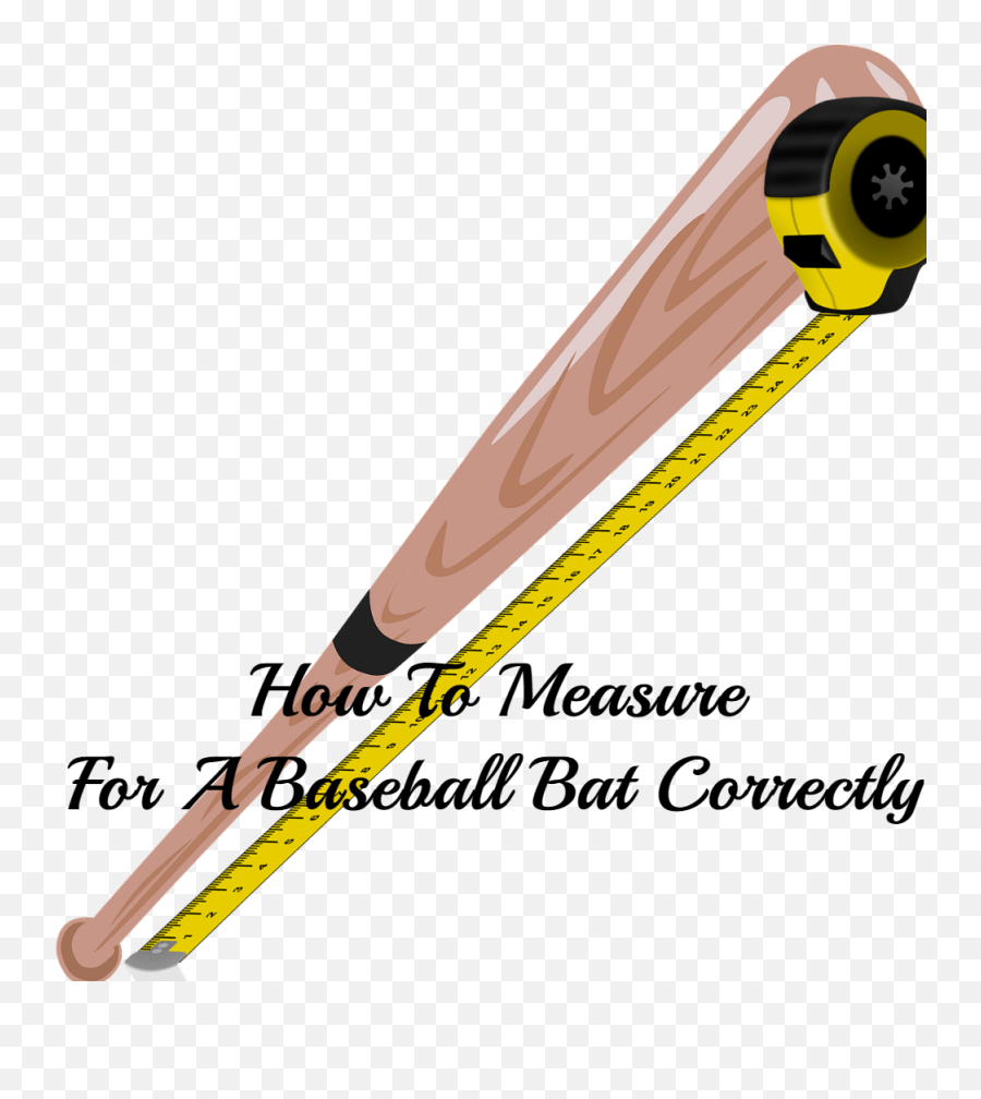 How To Measure For A Baseball Bat Chimp - Measure A Bat Png,Baseball Bat Png