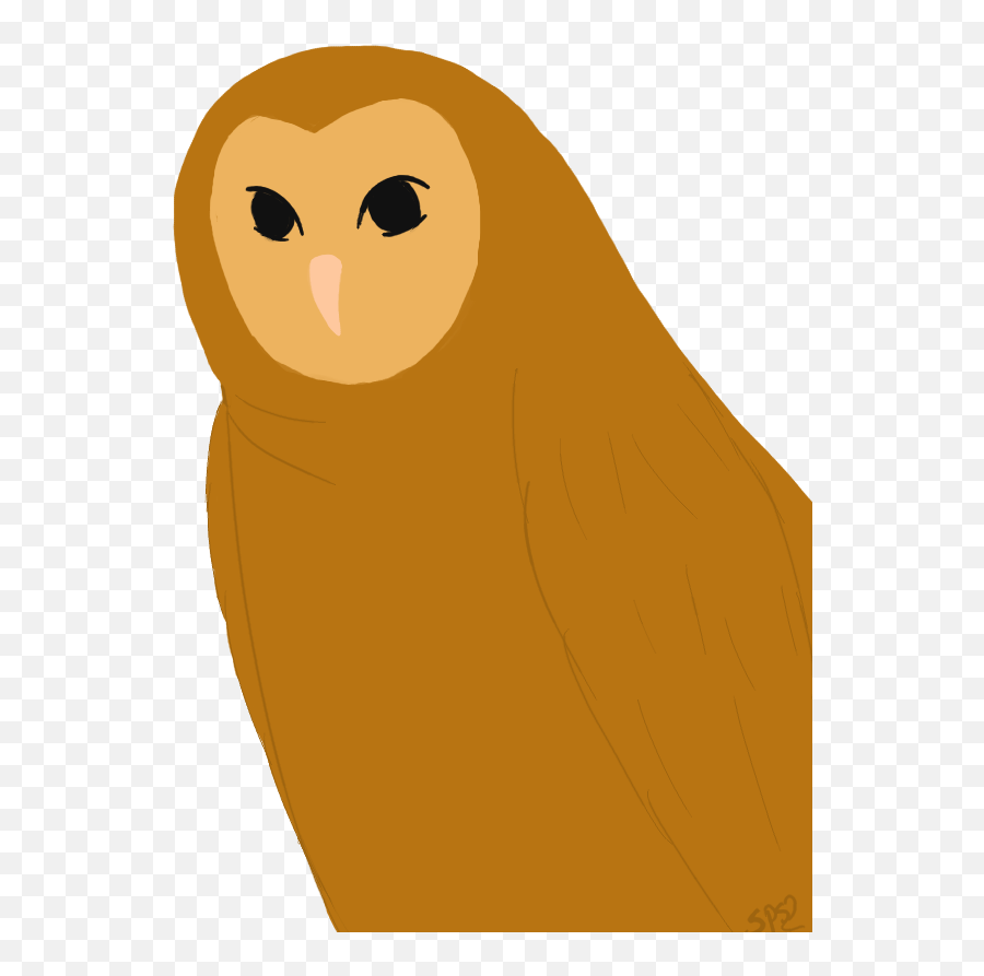 Ovoxo Hd Posted - Soft Png,Ovo Owl Png