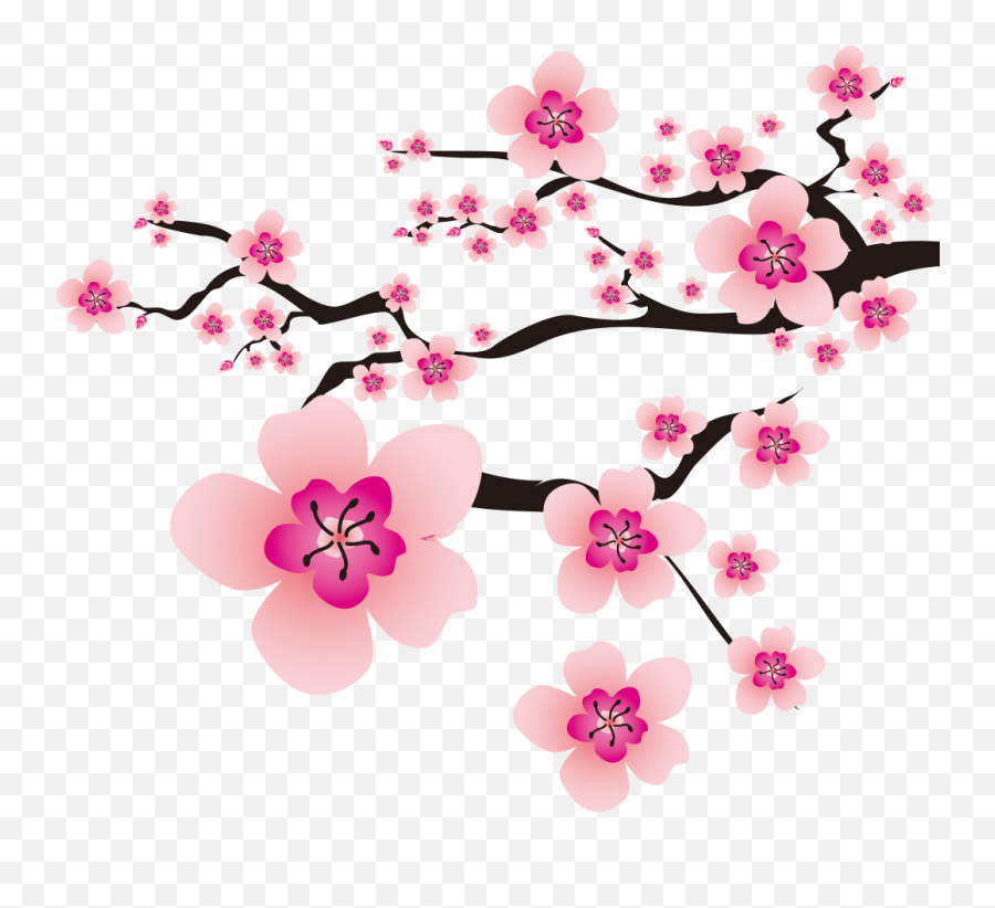 Background Bunga Sakura Png Clipart