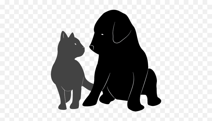 Download Hd Dog And Cat Adoption - Dog And Cat Silhouette Silhouette Cat And Dog Png,Cat Silhouette Transparent