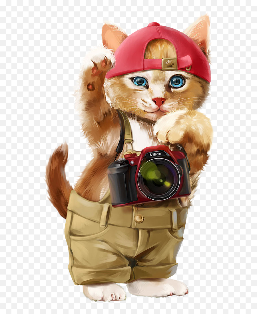 Cute Cats And Kittens Baby - Saludos De Buenos Dias Png,Lol Cat/dog Icon