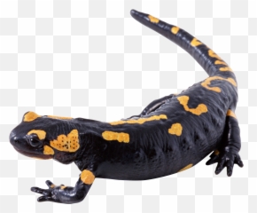 Lizard Icon Clipart Web Icons Png - Salamander Png