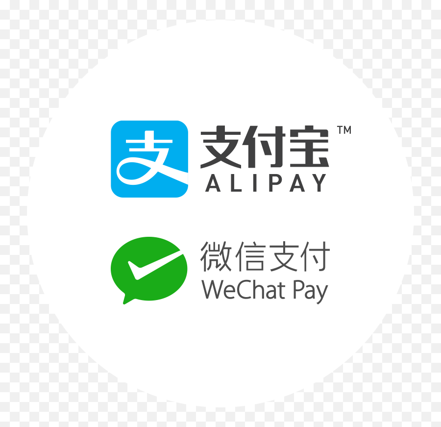 Payment Marketing Technology - Wechat Pay Alipay Png,Wechat Logo Png