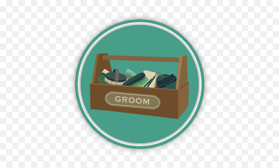 Grooming Tools Quiz - Allpony Png,Grooming Icon