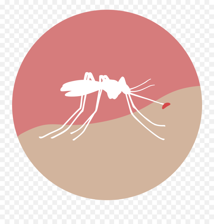 Usa Today Zika - Usa Today Zika Png,Mozzie Icon