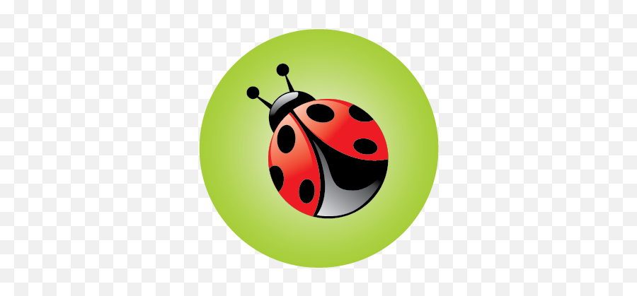Printing Paper Stocks - The Print Bug Dot Png,Ladybug Icon Leaf