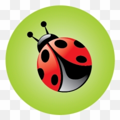 Printing Paper Stocks - The Bug Dot png