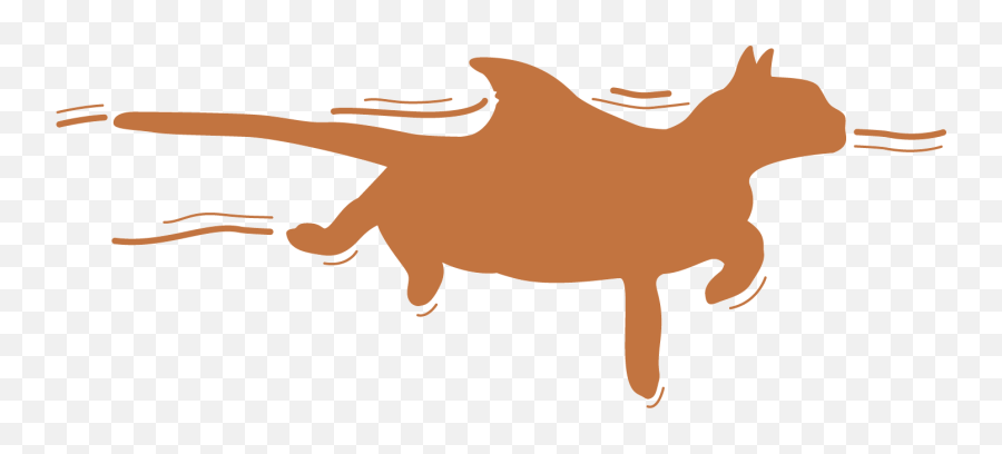 About Kittyshark U2014 Branding Squarespace Web - Bovinae Png,F.e.a.r Icon