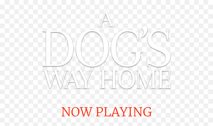 A Dogu0027s Way Home Movie Official Website Sony Pictures - Movie A Way Home Png,Movie Poster Credits Png