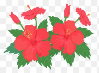 Hibiscus Flower Clipart - Hawaiian Png Download Plant