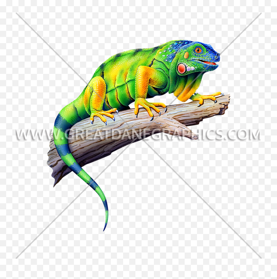 Colorful Iguana Production Ready Artwork For T - Shirt Printing Green Iguana Png,Iguana Png