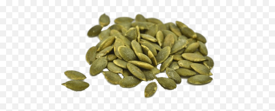 Pumpkin Seeds Transparent Png - Vegan Protein Sources Low Carb,Seed Png