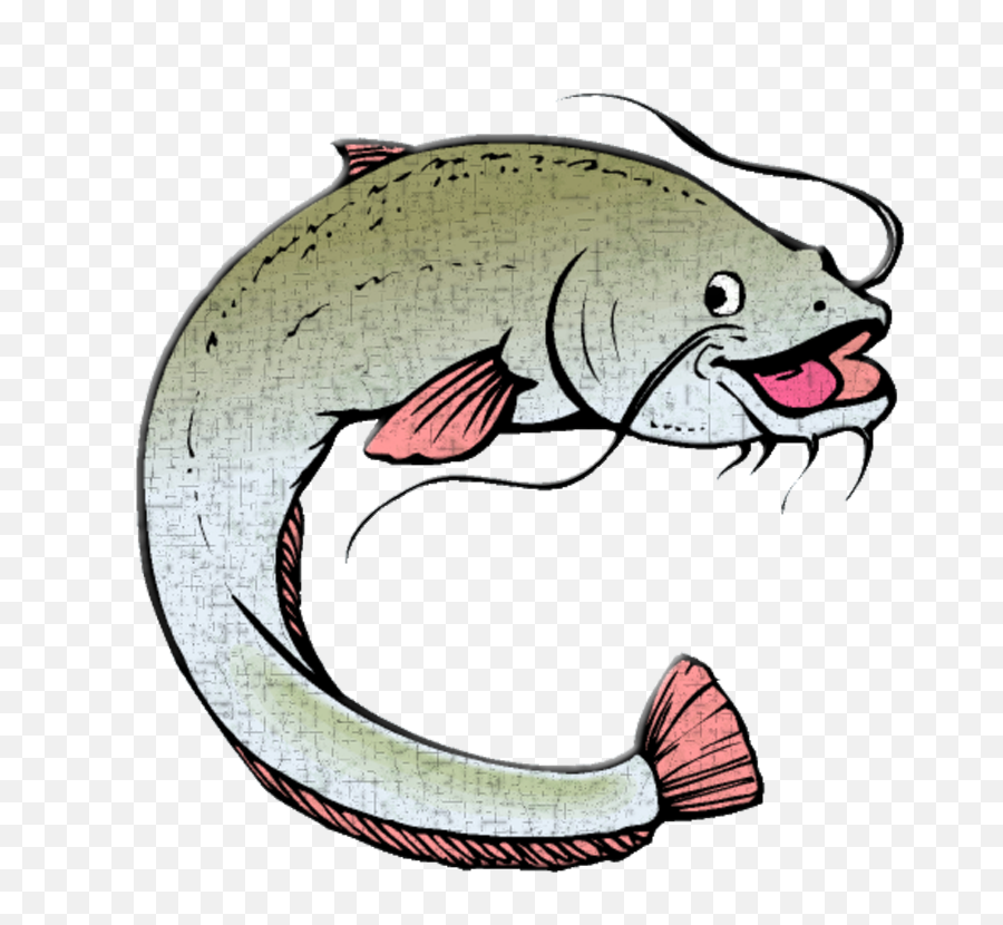 Download Animated Catfish Png Image - Animated Catfish,Catfish Png