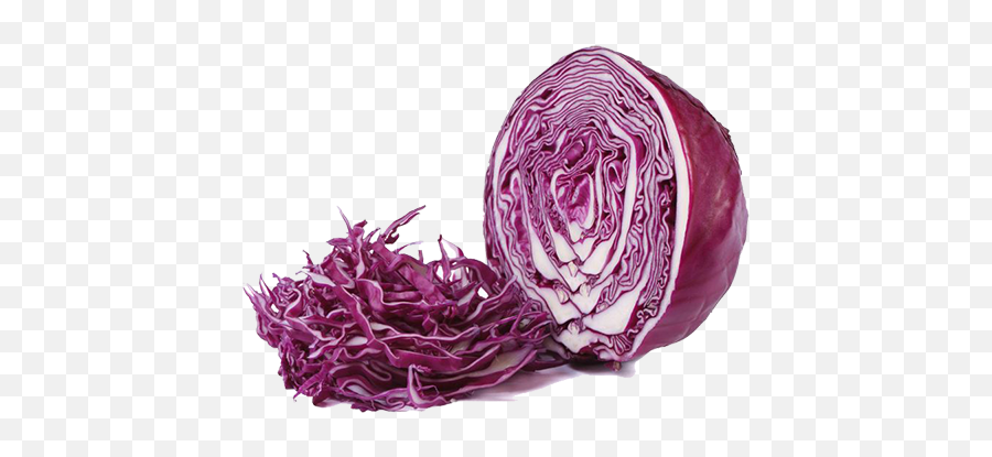 Red Cabbage U2013 Gyro Street - Transparent Red Cabbage Png,Cabbage Png