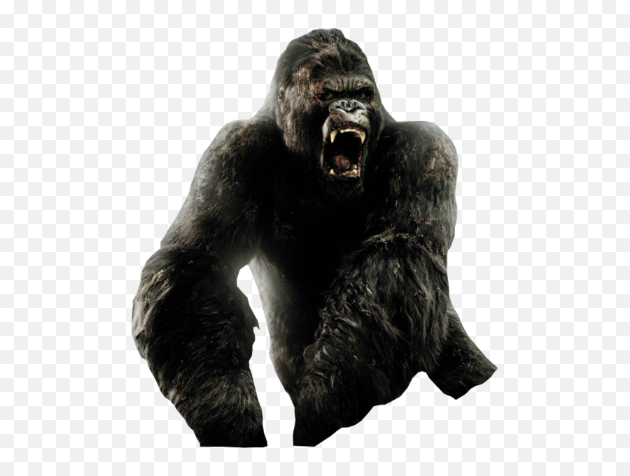 Kong Png 4 Image - King Kong,Kong Png