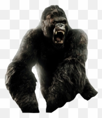 Kong Png 4 Image - King Kong,Kong Png