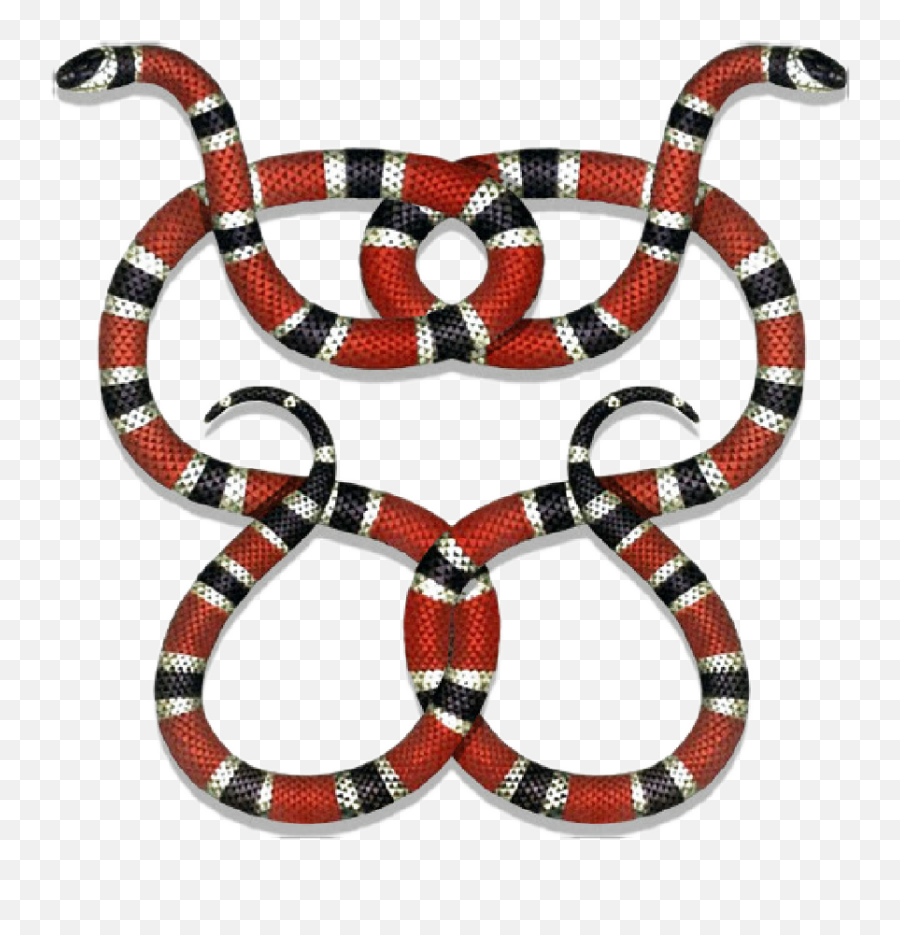 Gucci Guccigang Snakes Guccilogo Logo - Desenho De Cobra Coral Png,Gucci Snake Png