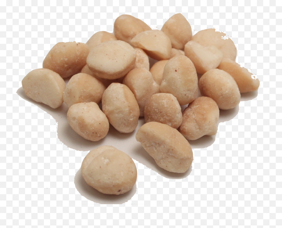 Macadamia Nuts Png Transparent Image Arts - Macadamia Nuts Transparent,Nuts Png