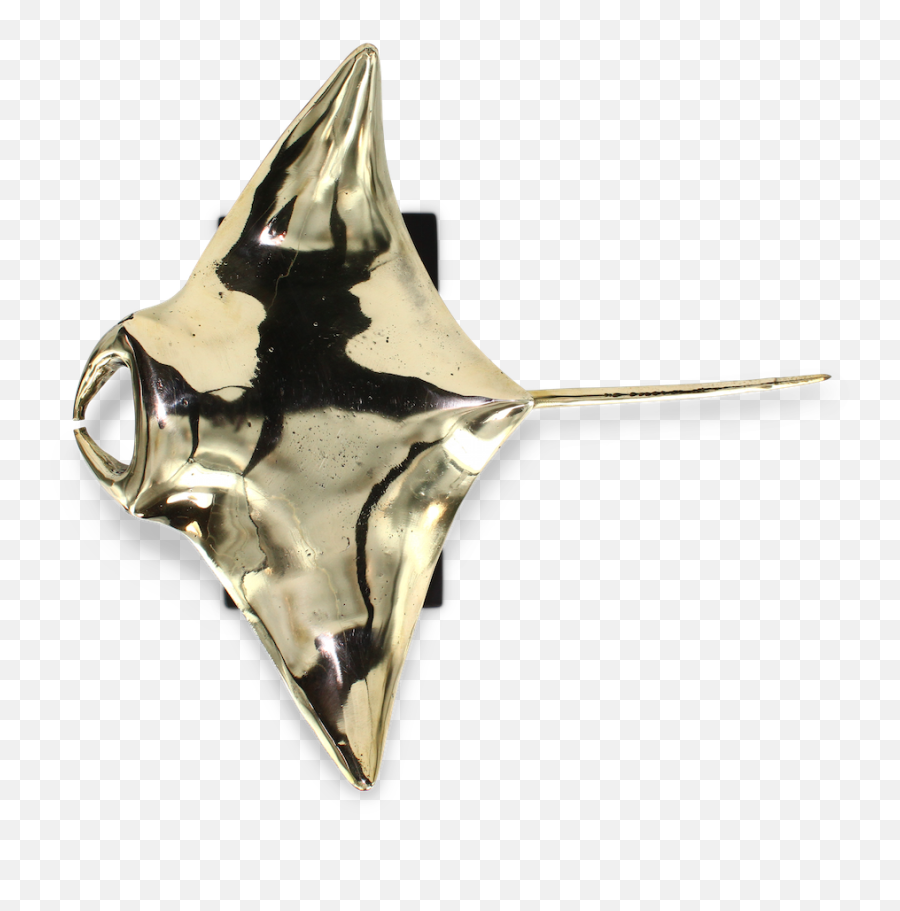 Frank - The Mantaray Medium Body Jewelry Png,Manta Ray Png