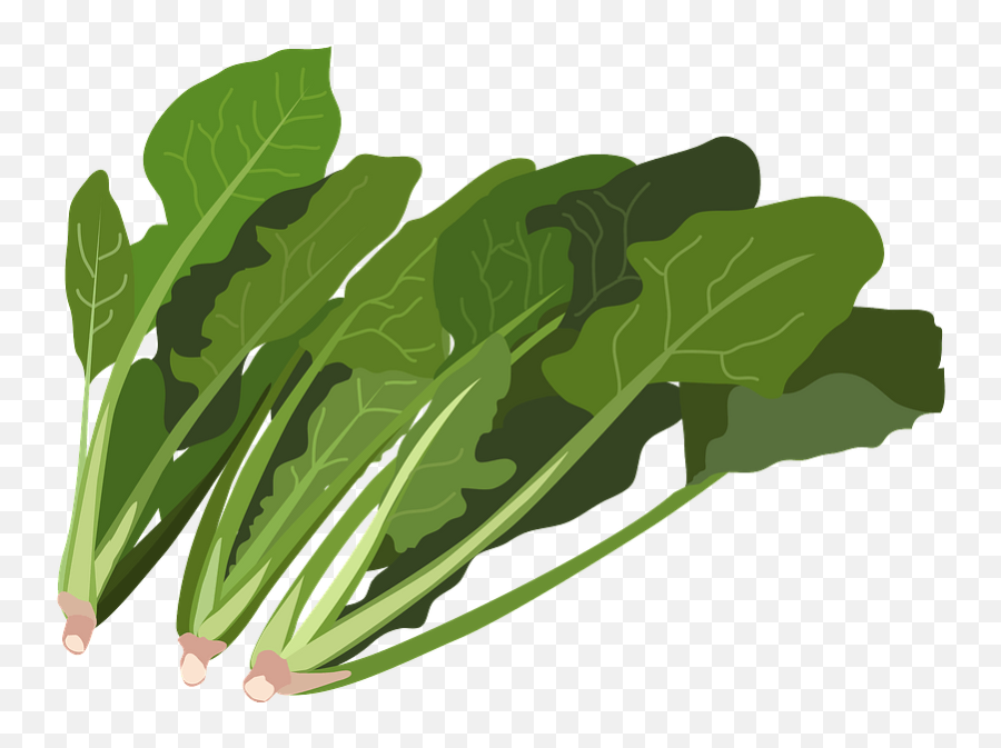 Clipart - Vegetable Basket Clipart Png,Spinach Png